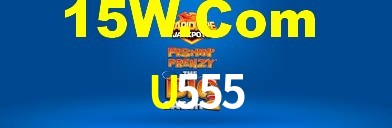 Premium Interface U555